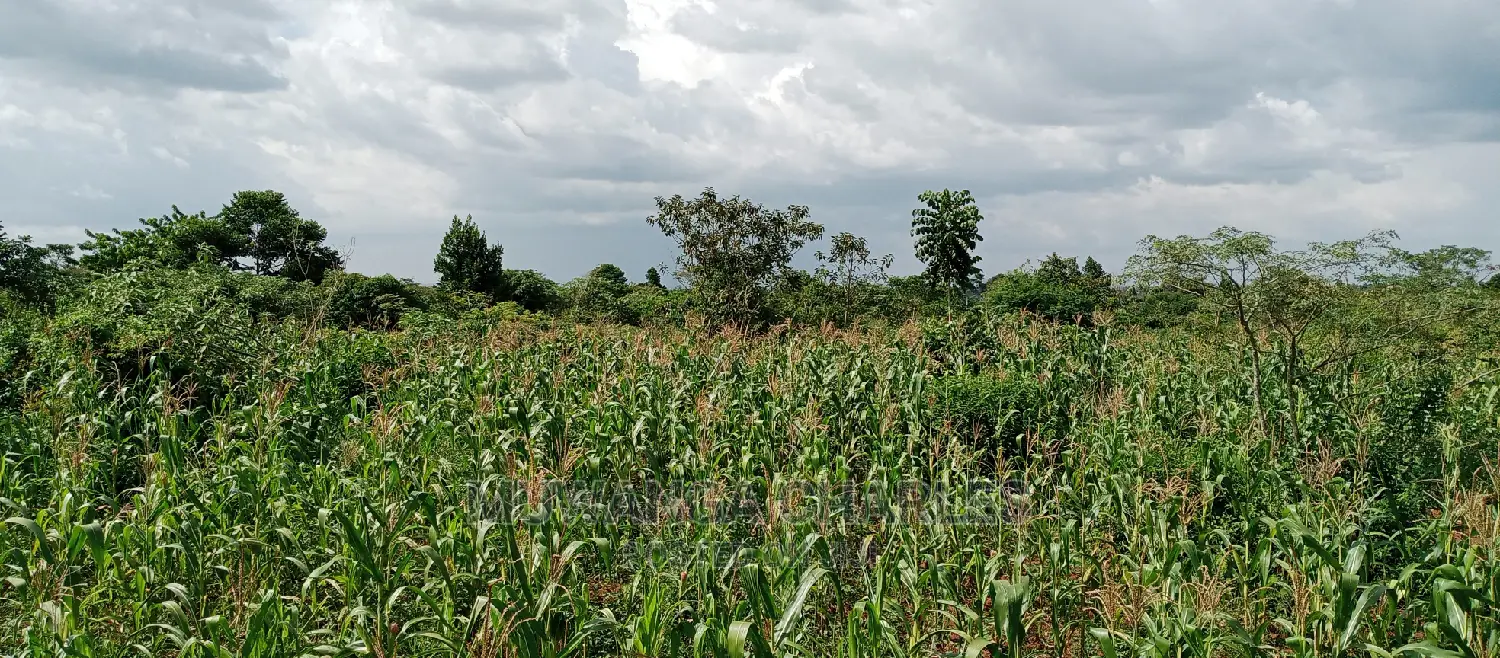 3acres for Sale in Wabutungulu in Central Division