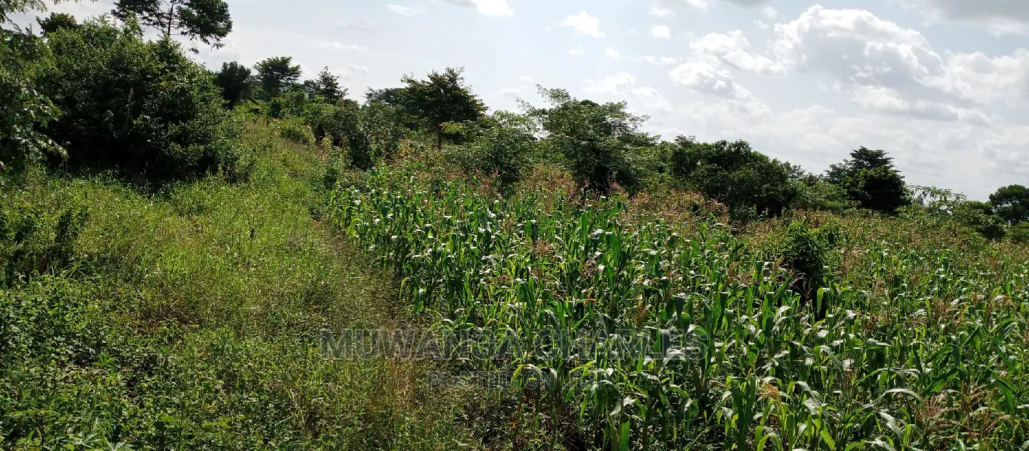 3acres for Sale in Wabutungulu in Central Division