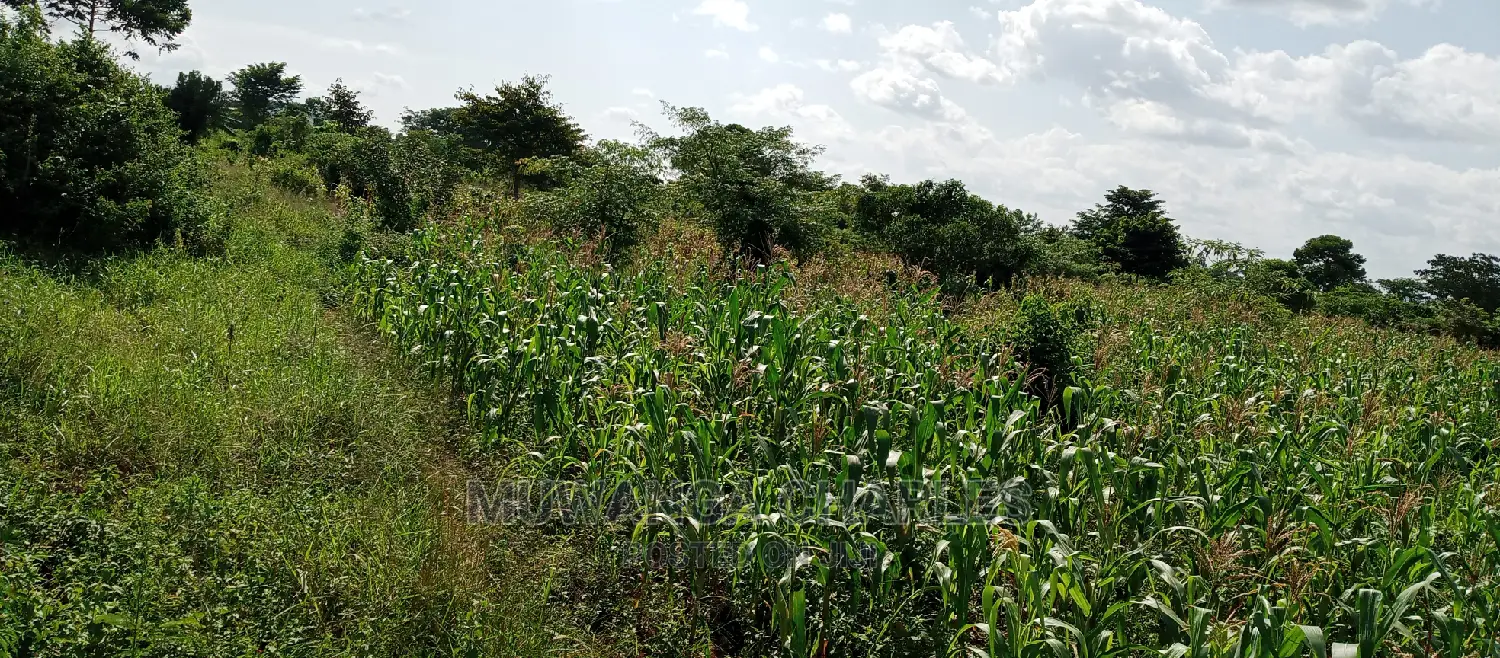 3acres for Sale in Wabutungulu in Central Division