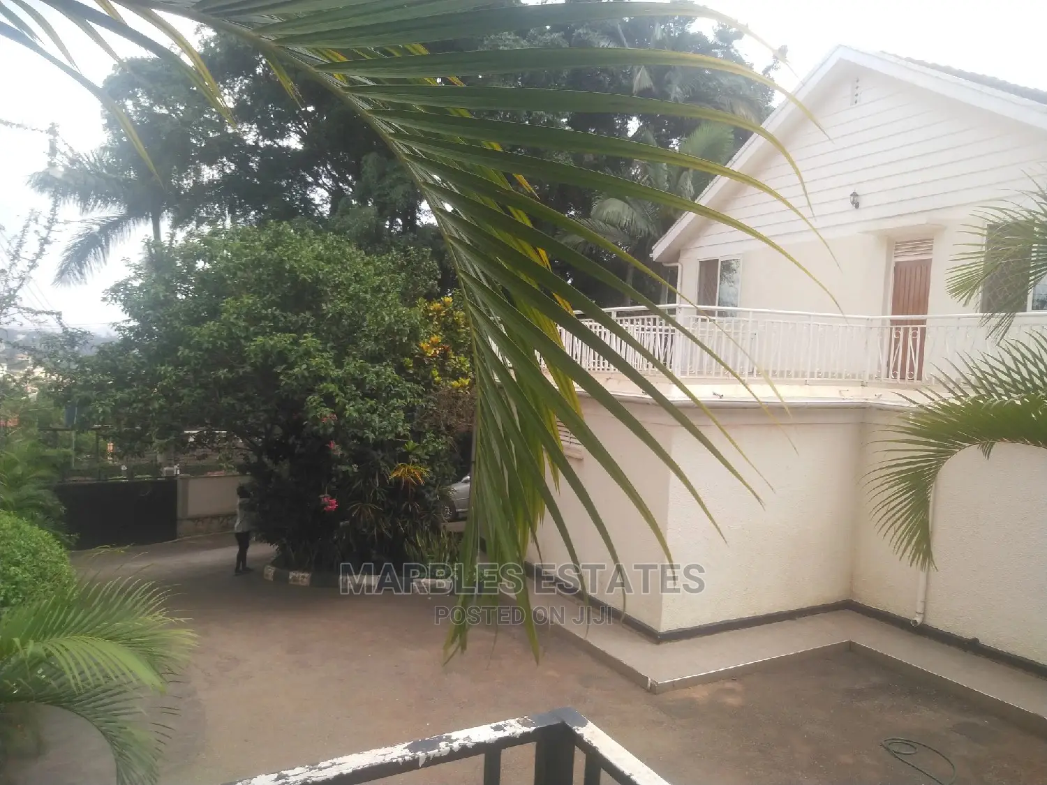5bdrm House in Naguru, Central Division for Rent in Central Division
