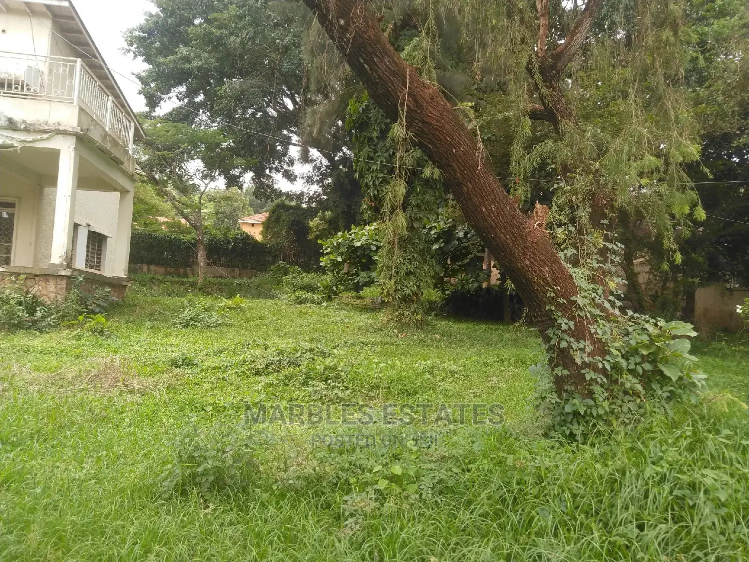 Land for Sale in Kololo 80 Decimals in Central Division