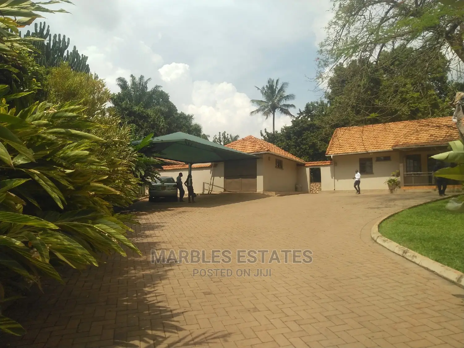 4bdrm House in Kololo, Central Division for Rent in Central Division