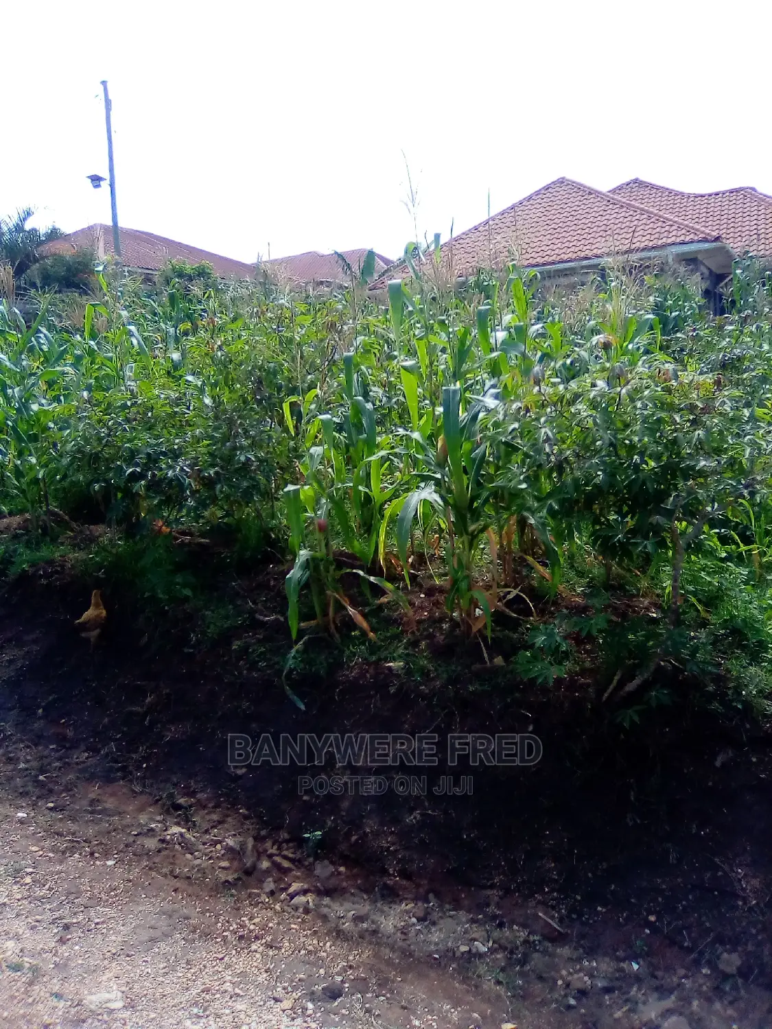 50/100 Plot for Sale in Nsasa Estate in Goma
