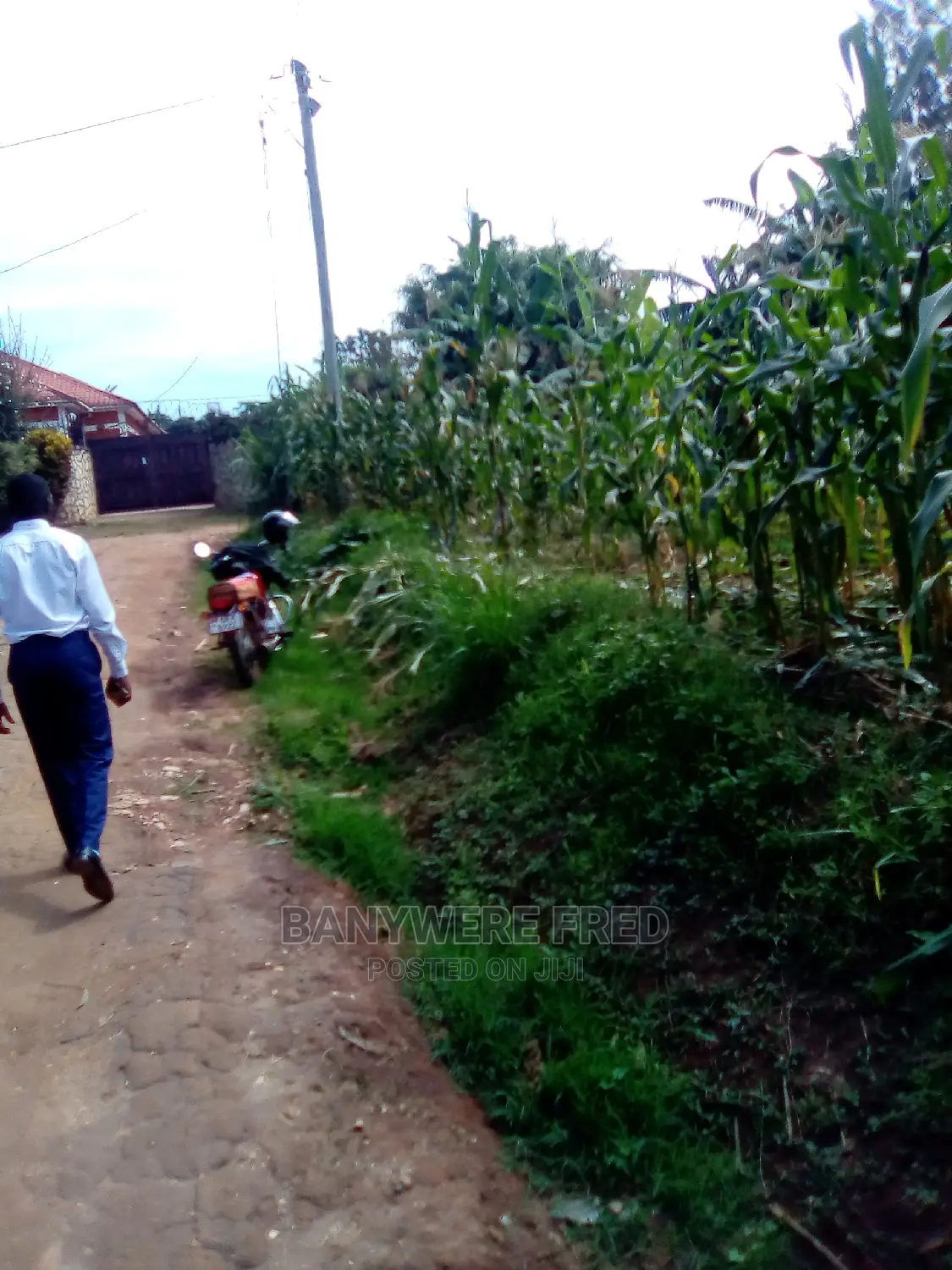 50/100 Plot for Sale in Kira in Kira