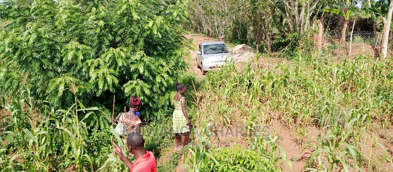 5acres for Sale in Zirobwe in Central Division