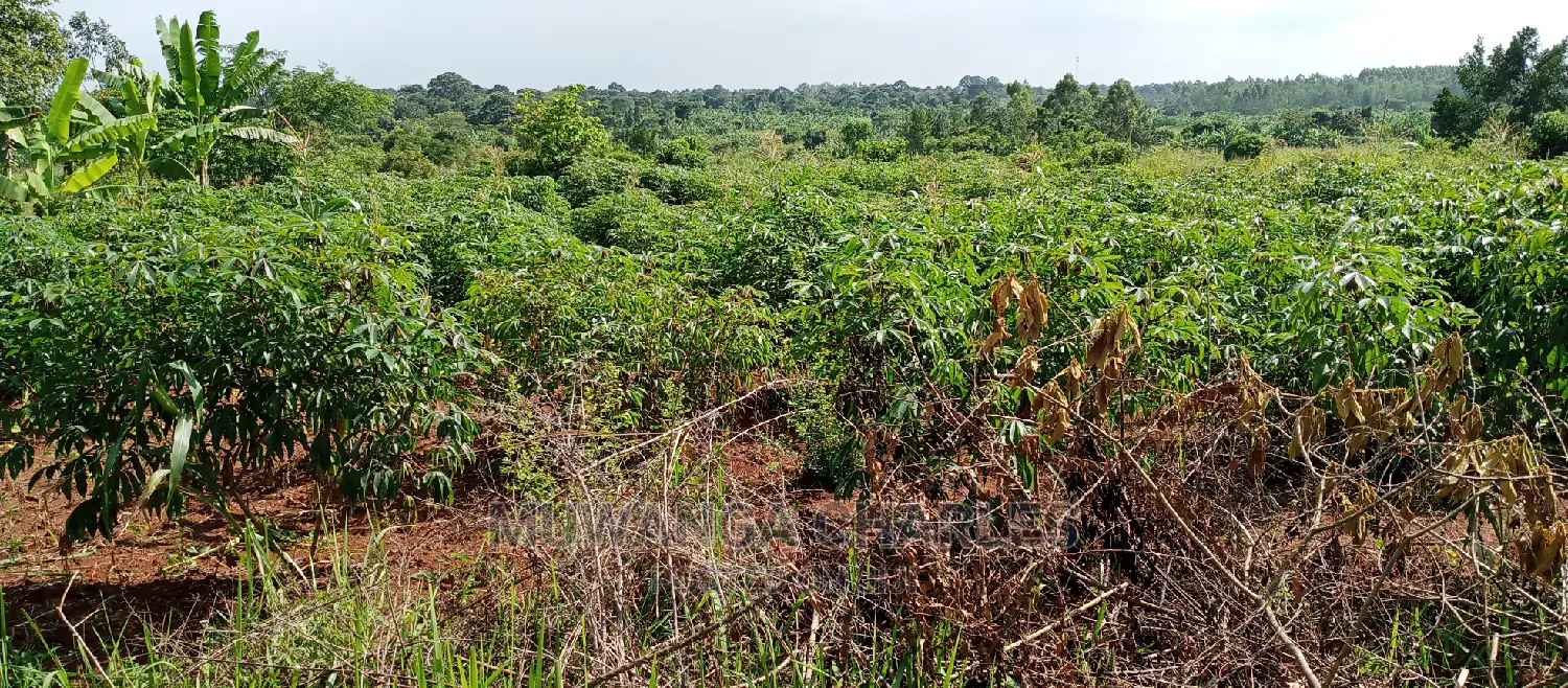 5acres for Sale in Zirobwe in Central Division
