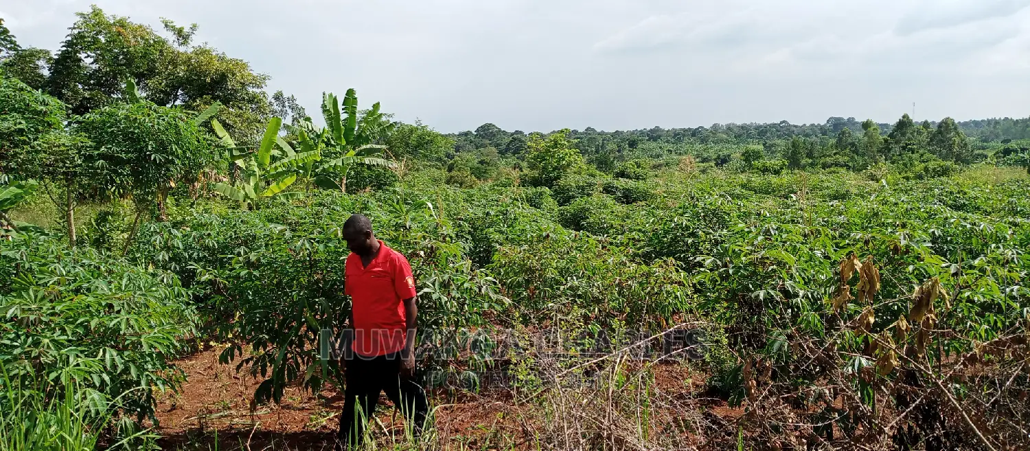 5acres for Sale in Zirobwe in Central Division