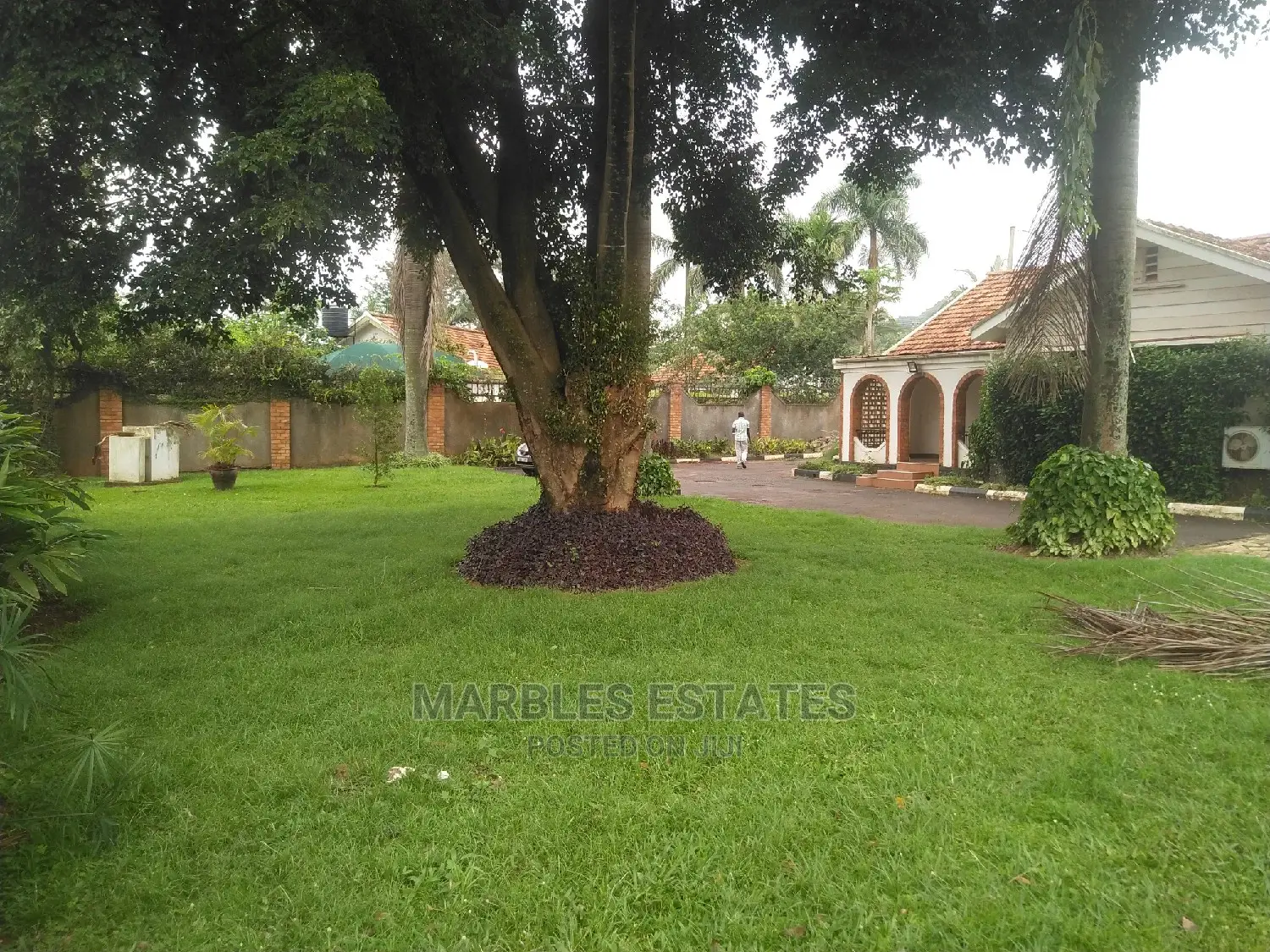 3bdrm Bungalow in Kololo, Central Division for Rent in Central Division