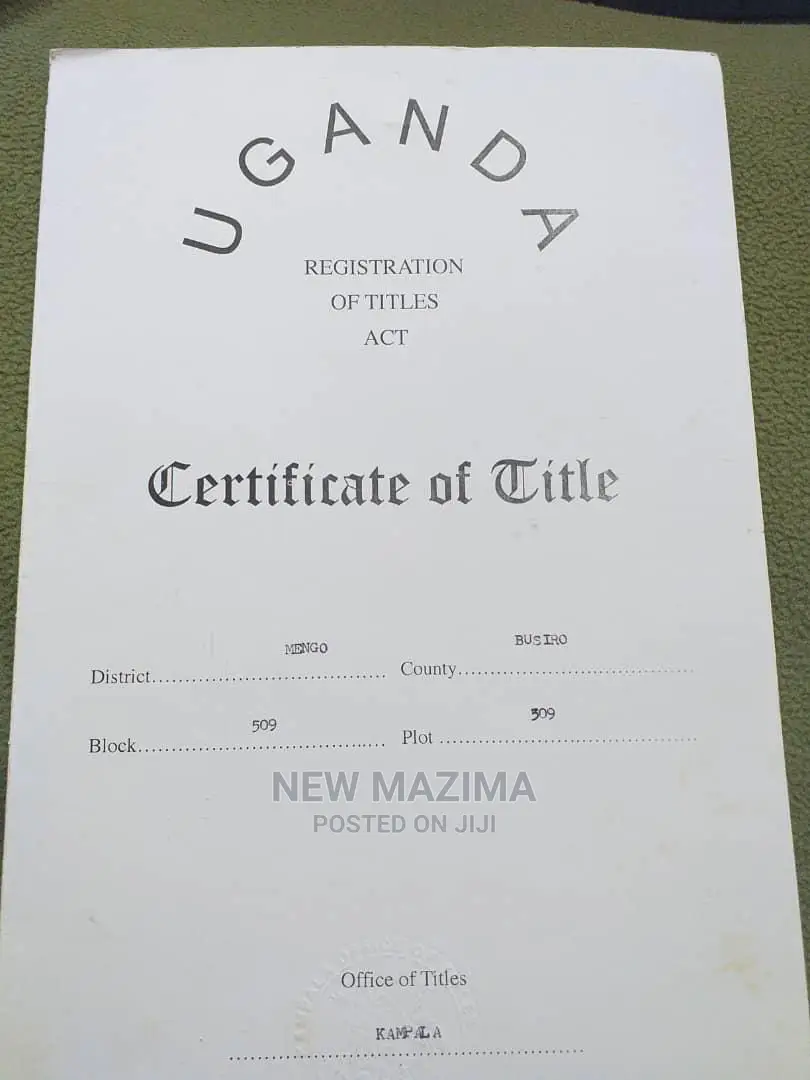 Very Prime 100 Ft X 100 Ft With Ready Title on Sale Kasanje in Division B
