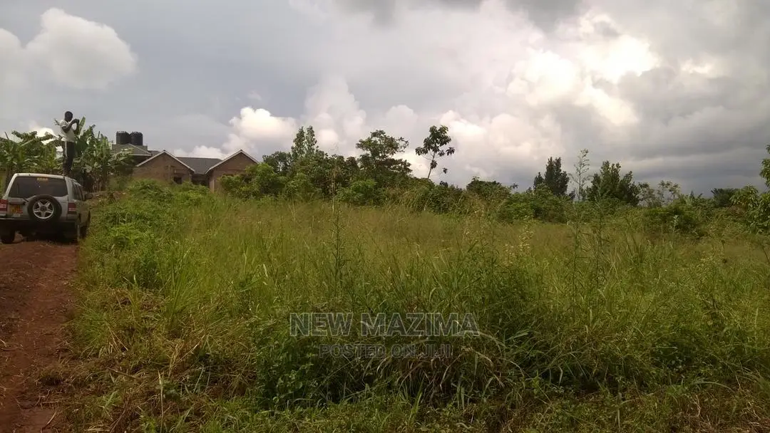 Very Prime 100 Ft X 100 Ft With Ready Title on Sale Kasanje in Division B
