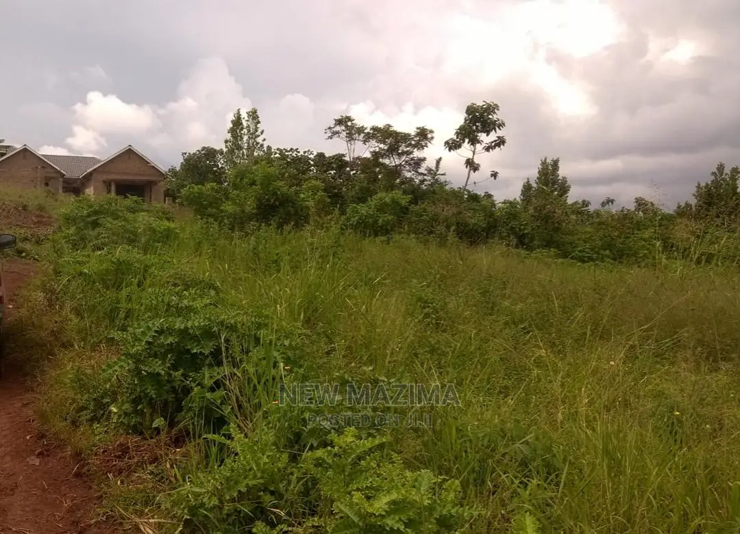 Very Prime 100 Ft X 100 Ft With Ready Title on Sale Kasanje in Division B