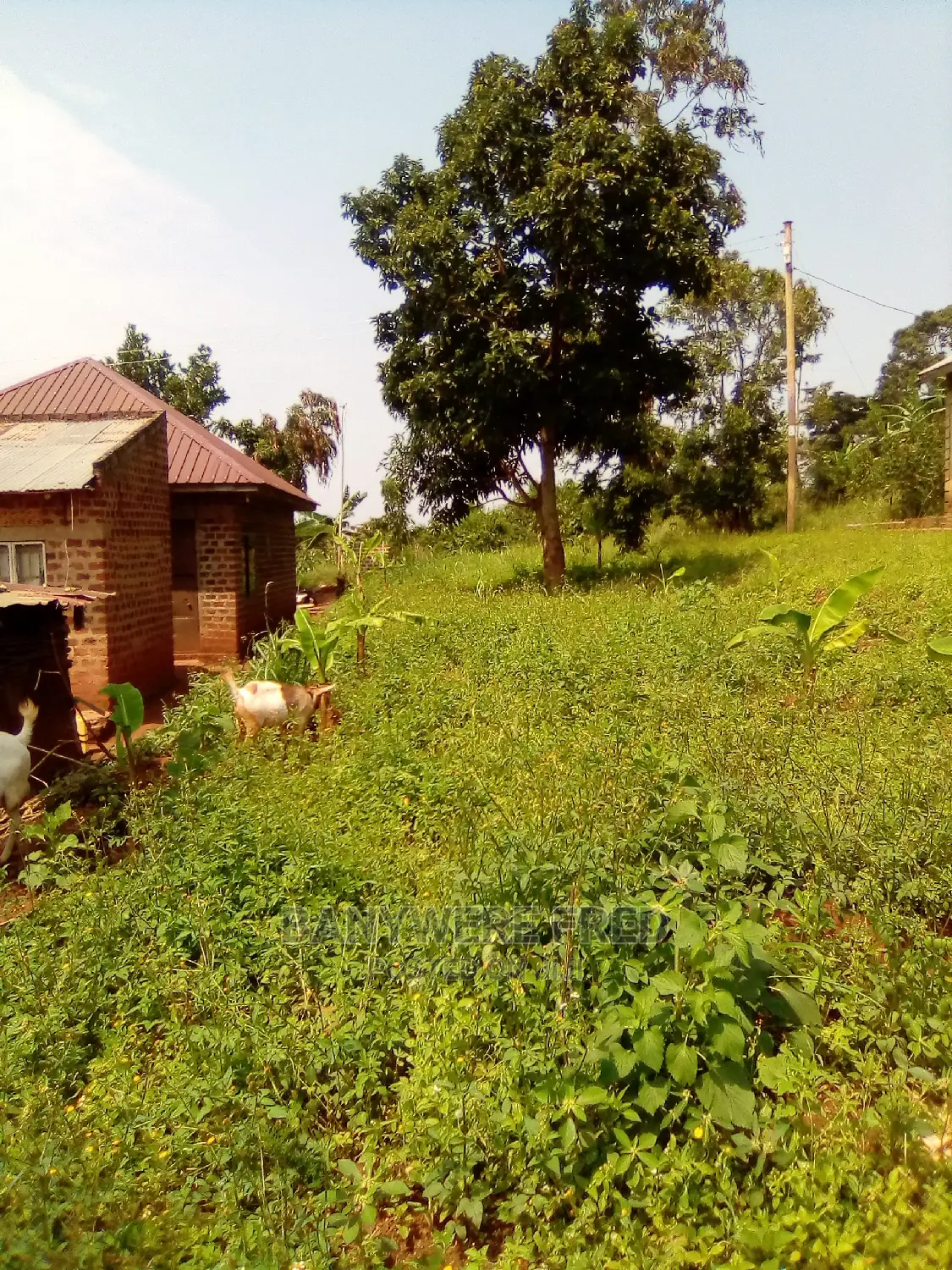 Nakose Katosi Road 100/100 in Nama