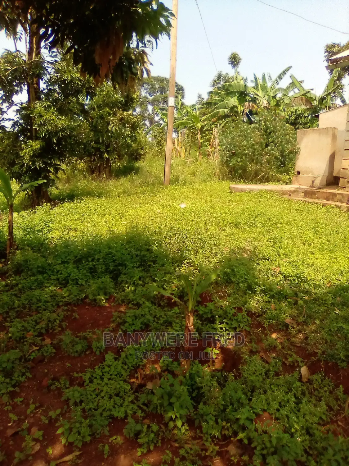 Nakasaja 50/100 Plot for Sale in Kyampisi