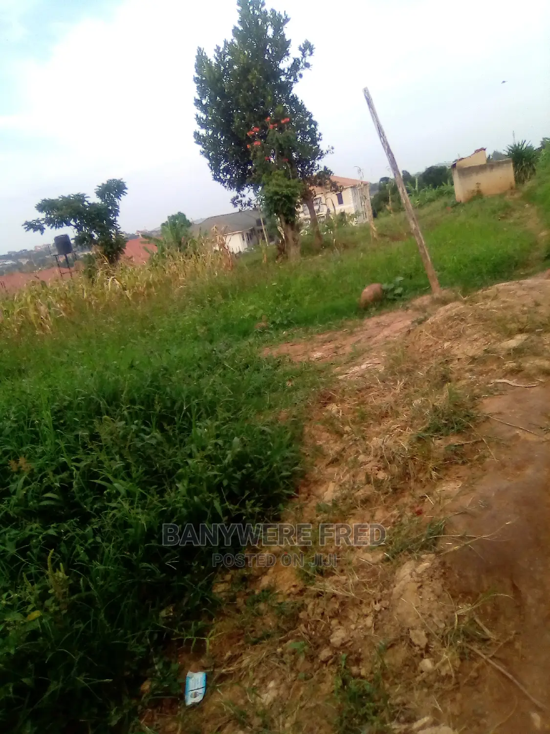Half Acre of Land on Sale at Mbalwa Namugongo in Kira