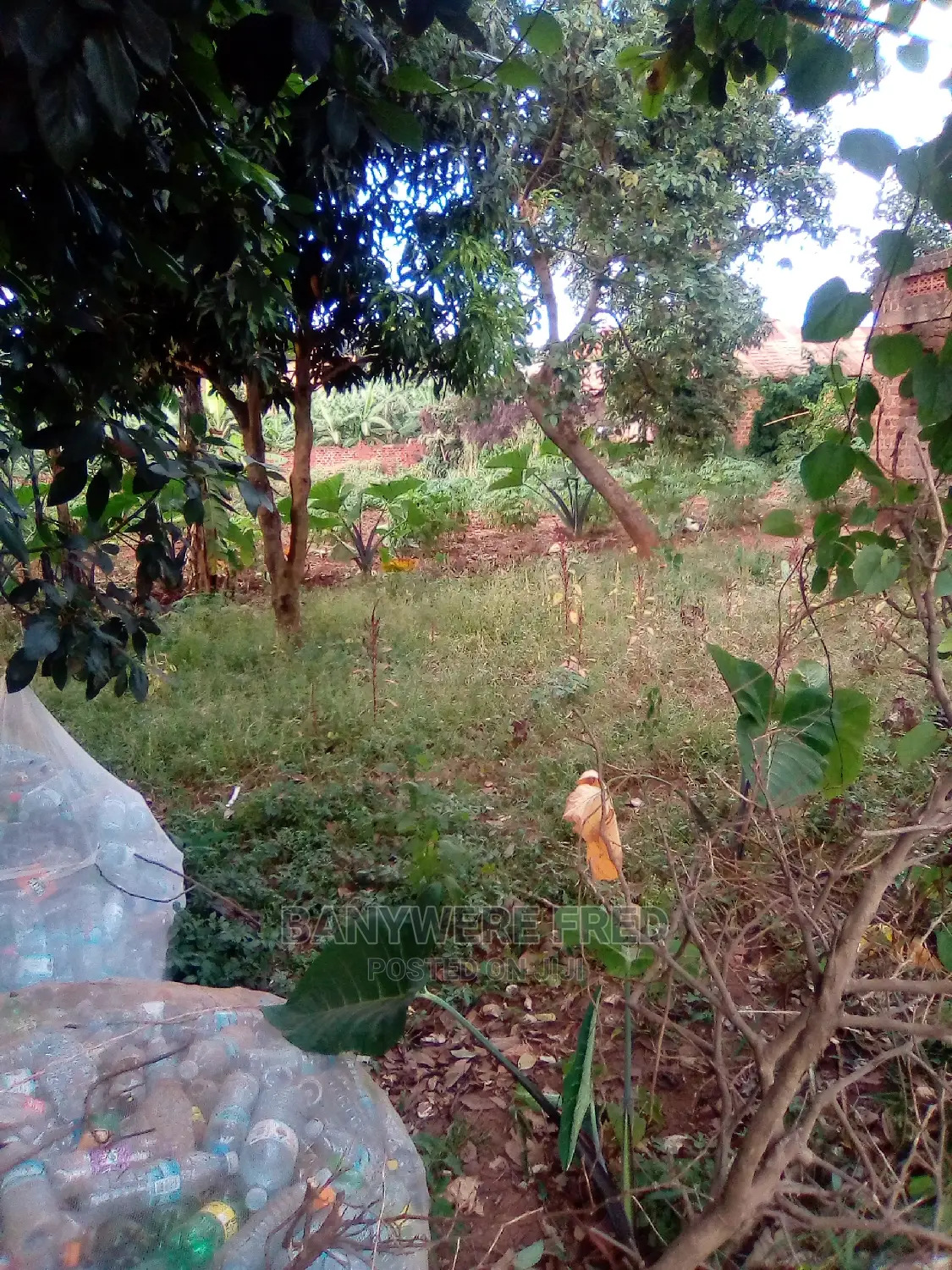 100x100ft Plot for Sale at Nalya in Kira