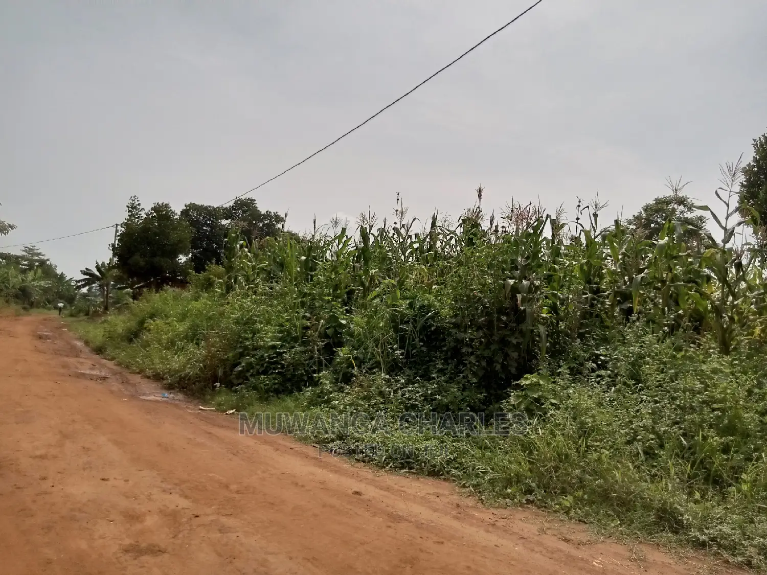 1acre and 40decimals for Sale in Kirs in Central Division