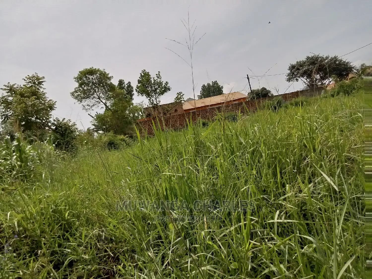 1acre and 40decimals for Sale in Kirs in Central Division
