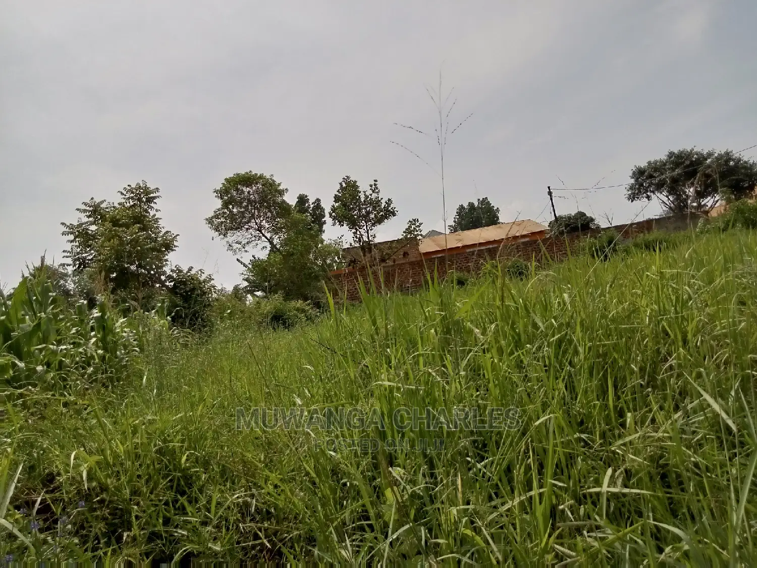 1acre and 40decimals for Sale in Kirs in Central Division
