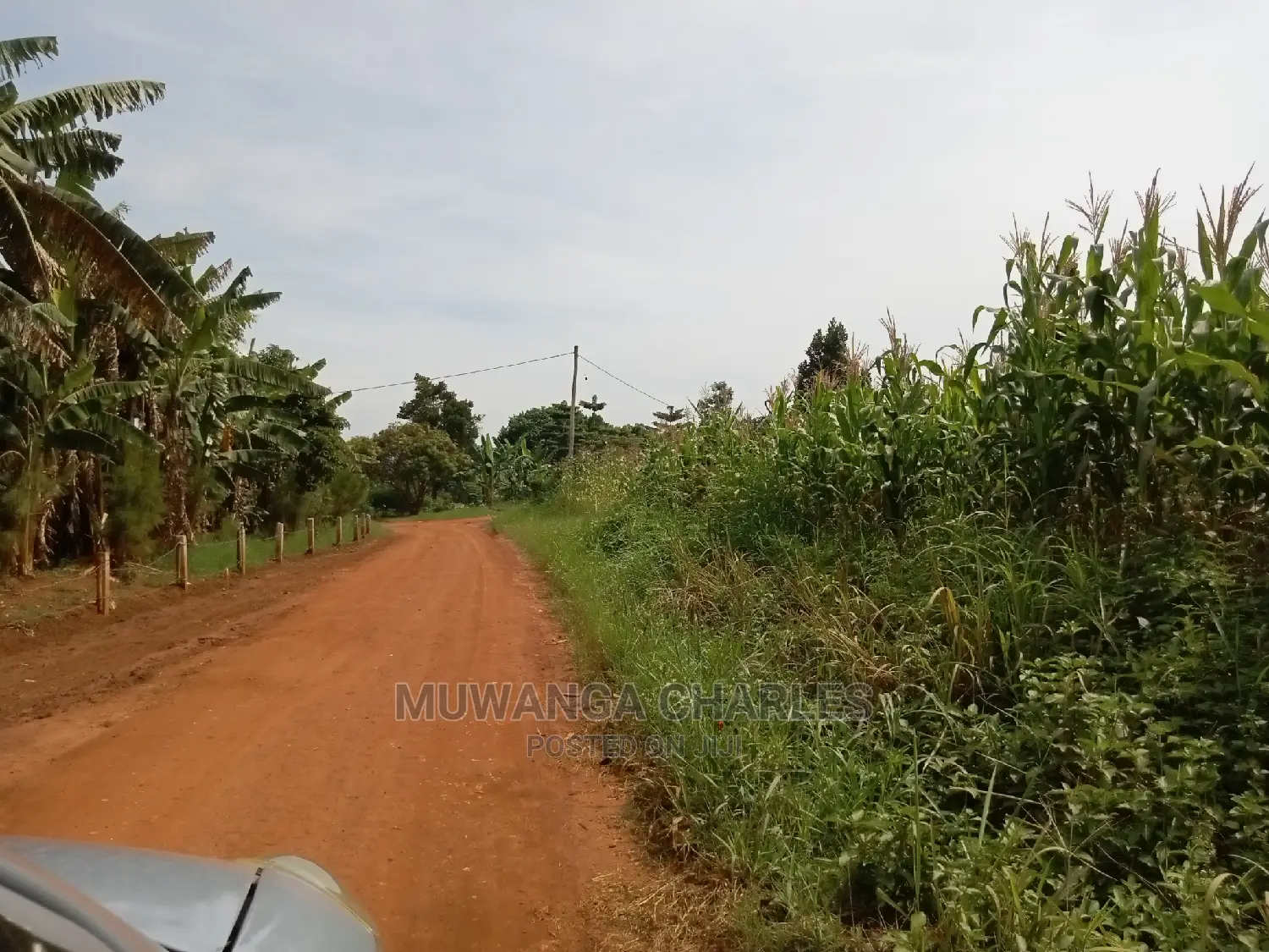 1acre and 40decimals for Sale in Kirs in Central Division