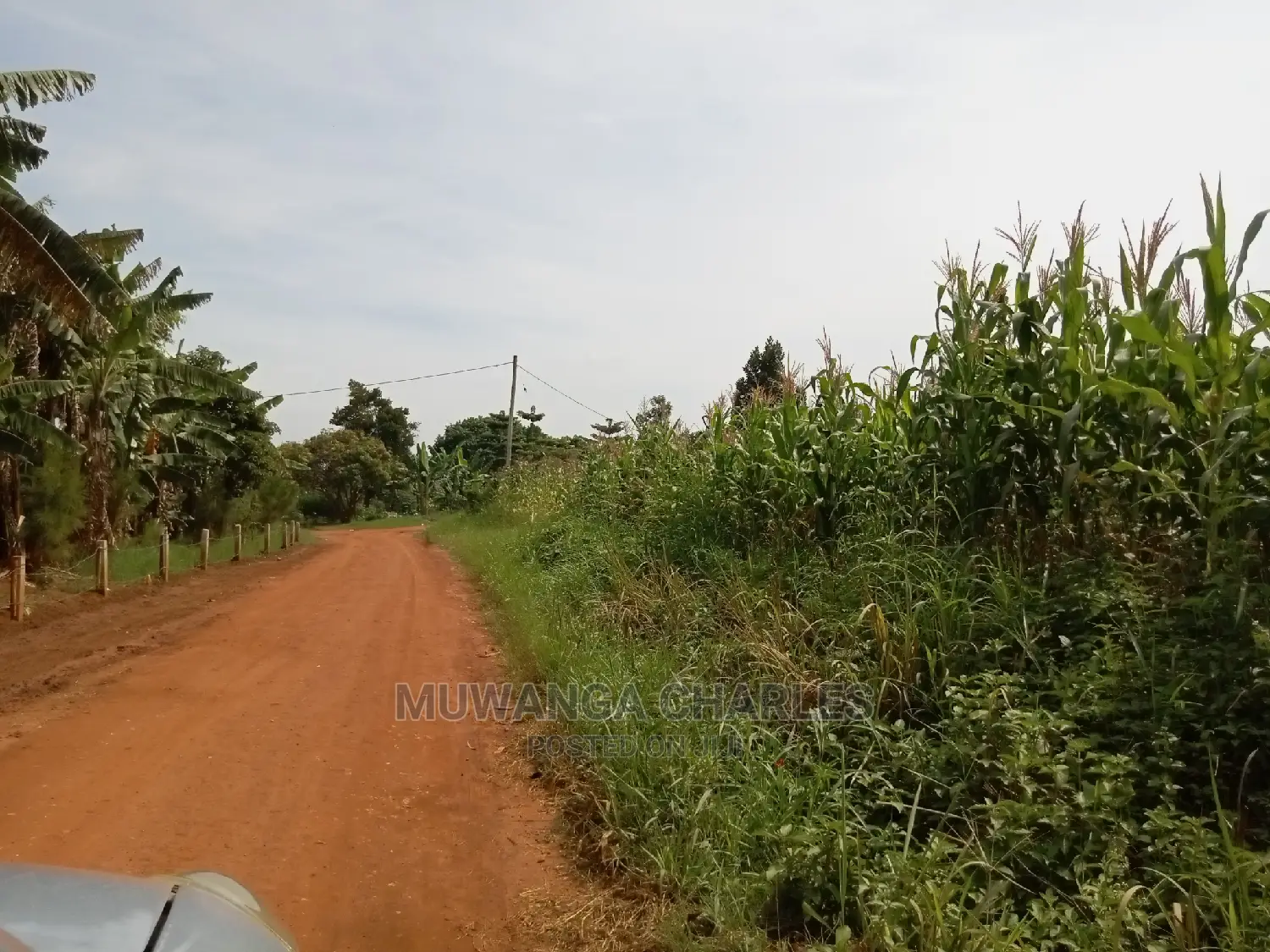 1acre and 40decimals for Sale in Kirs in Central Division