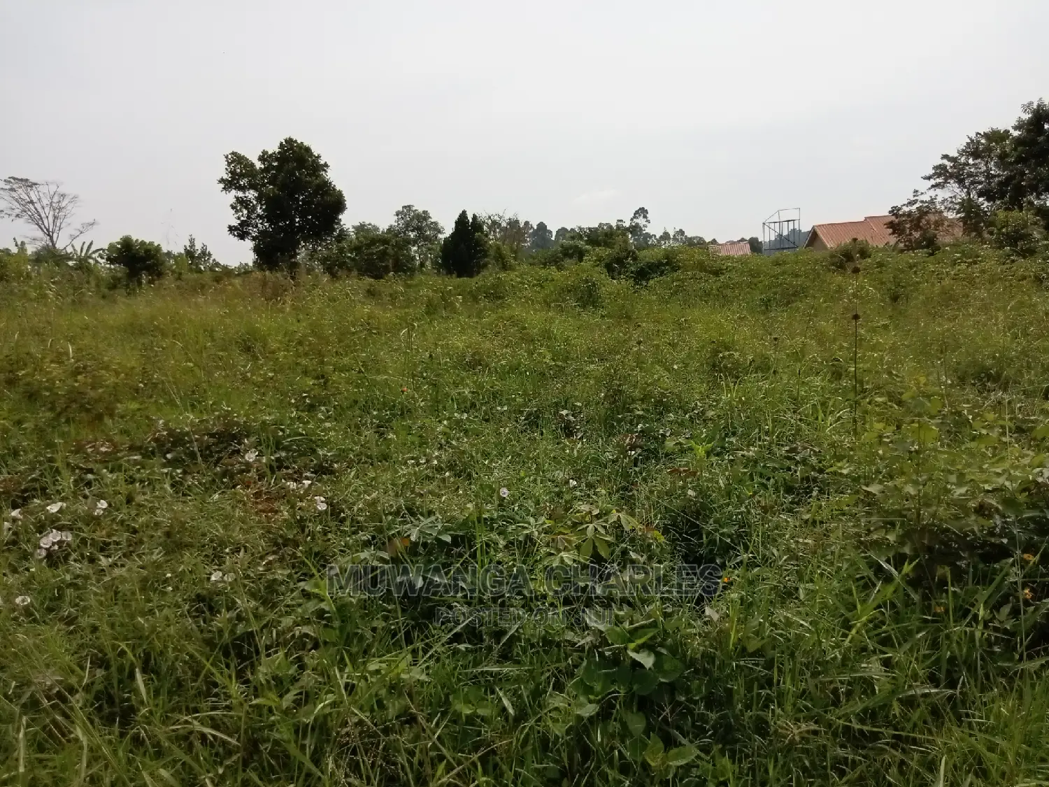 Plot for Sale in Kira Kimwanyi in Central Division