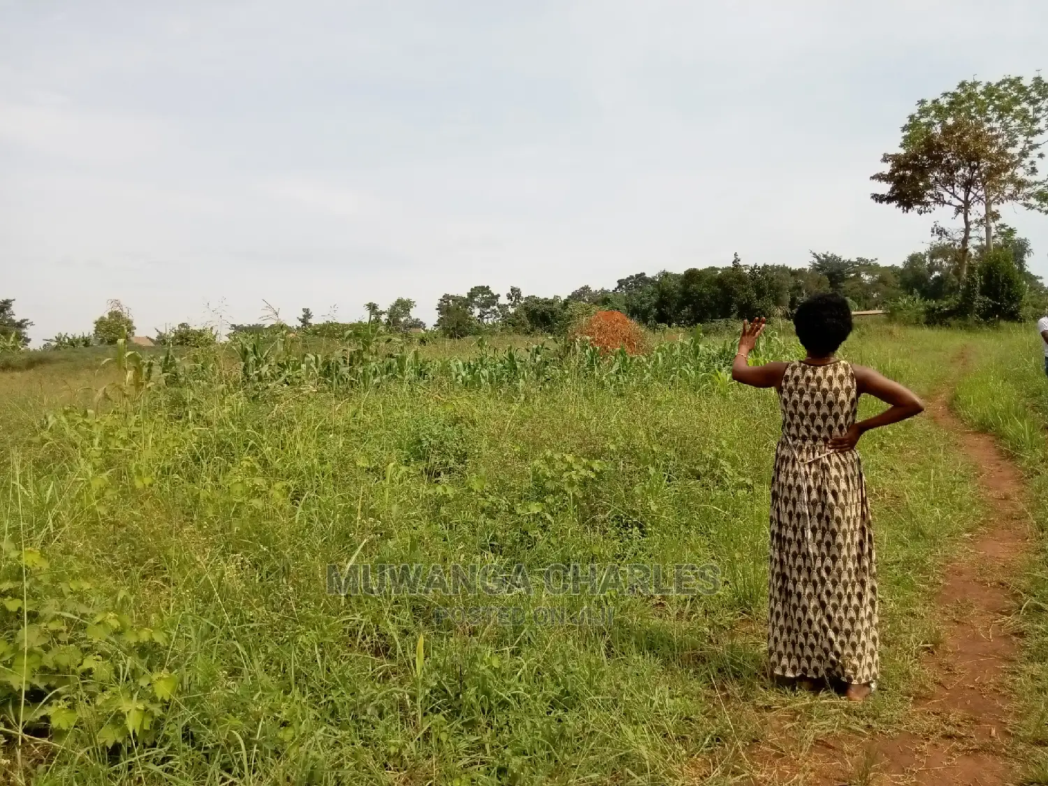 Plot for Sale in Kira Kimwanyi in Central Division