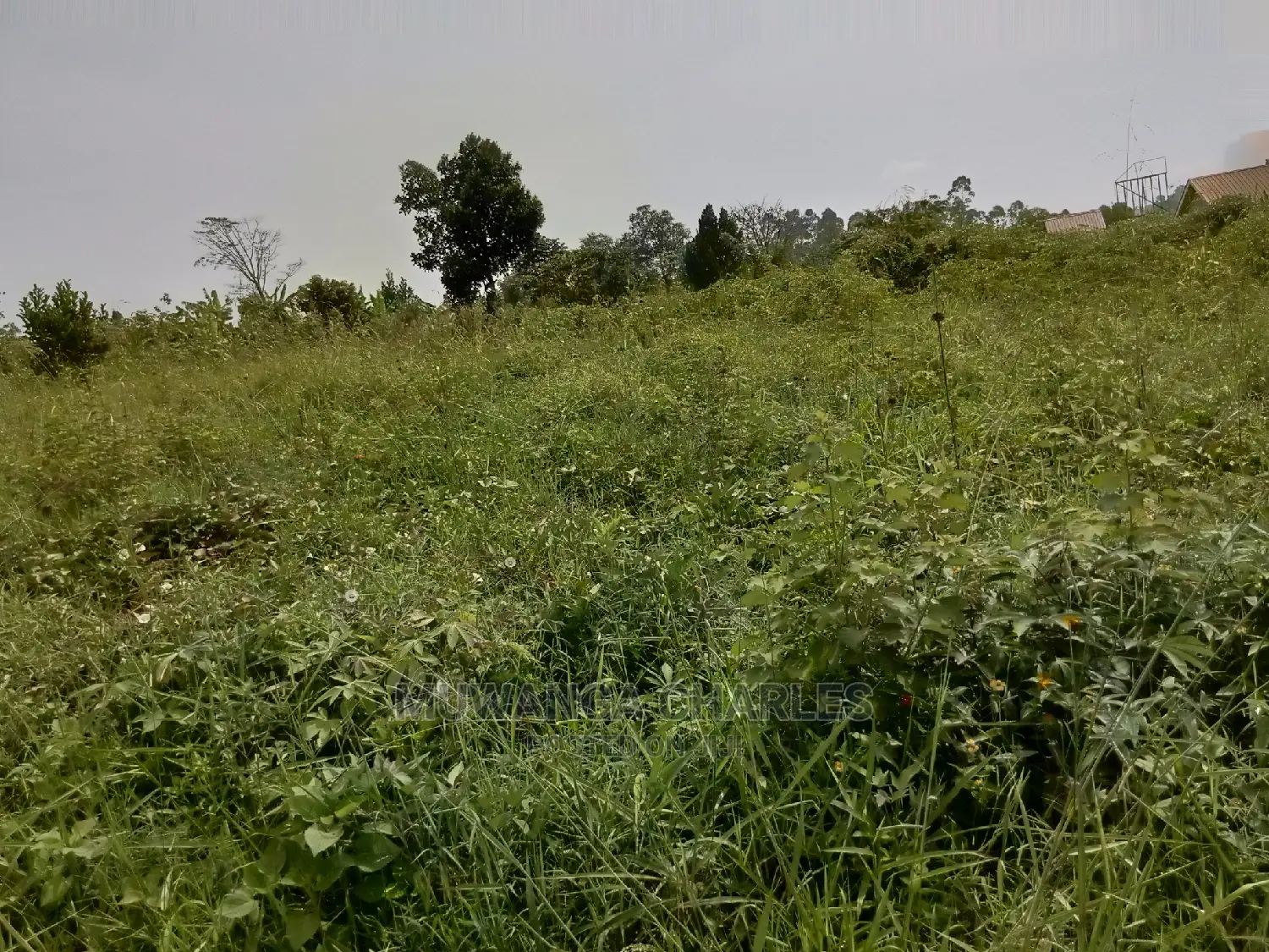 Plot for Sale in Kira Kimwanyi in Central Division