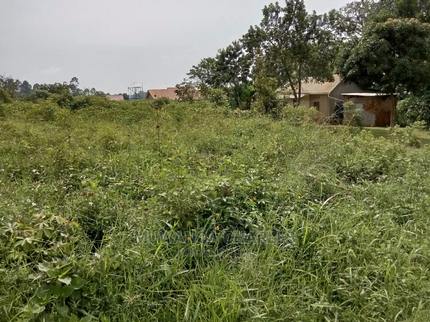 Plot for Sale in Kira Kimwanyi in Central Division