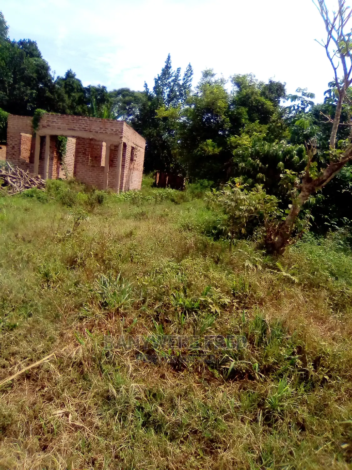 Half Acre of Land for at Kiyuga Kamuli in Kira
