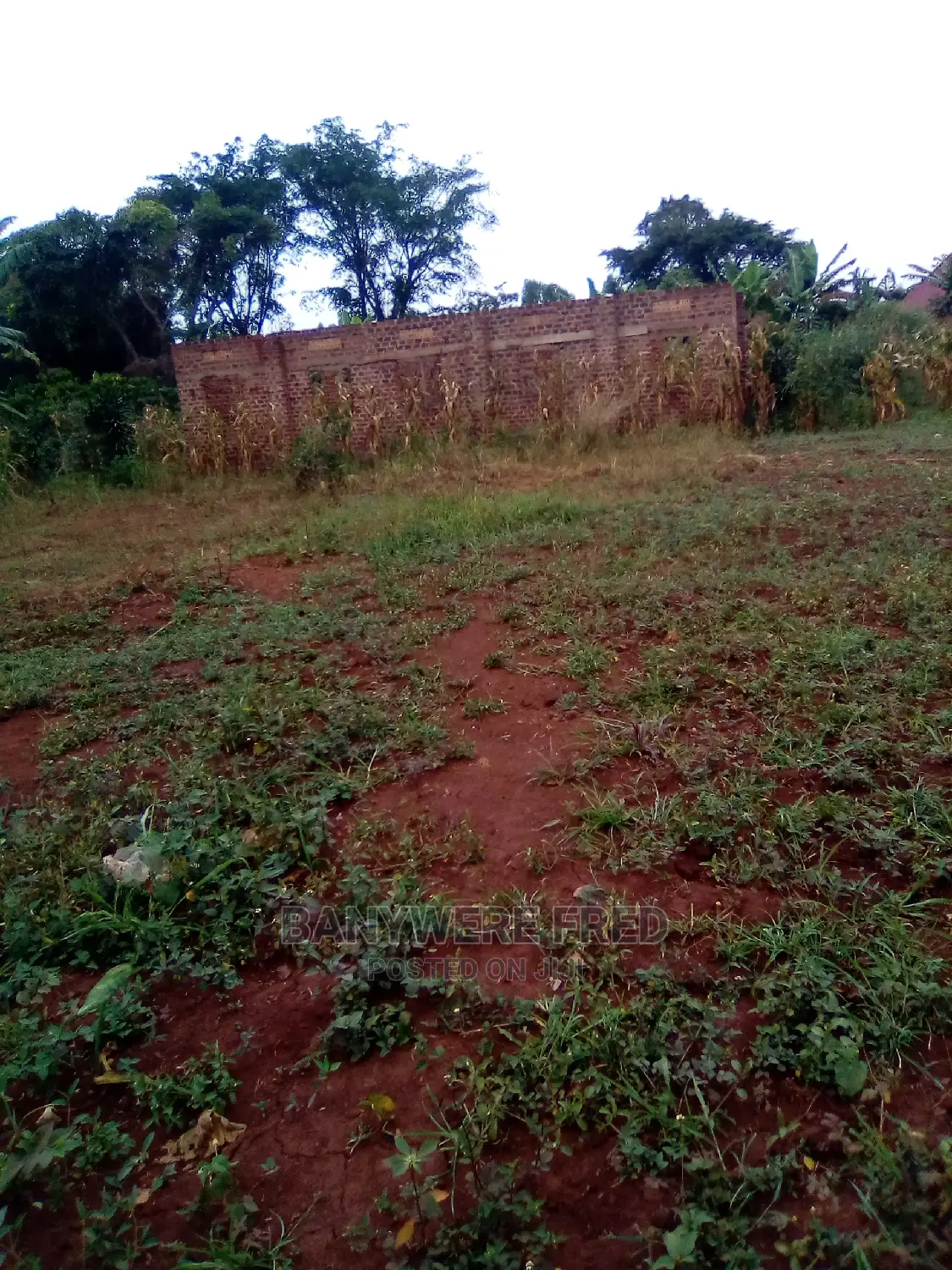 50x100ft Plot With Aready Title in Kayunga TC