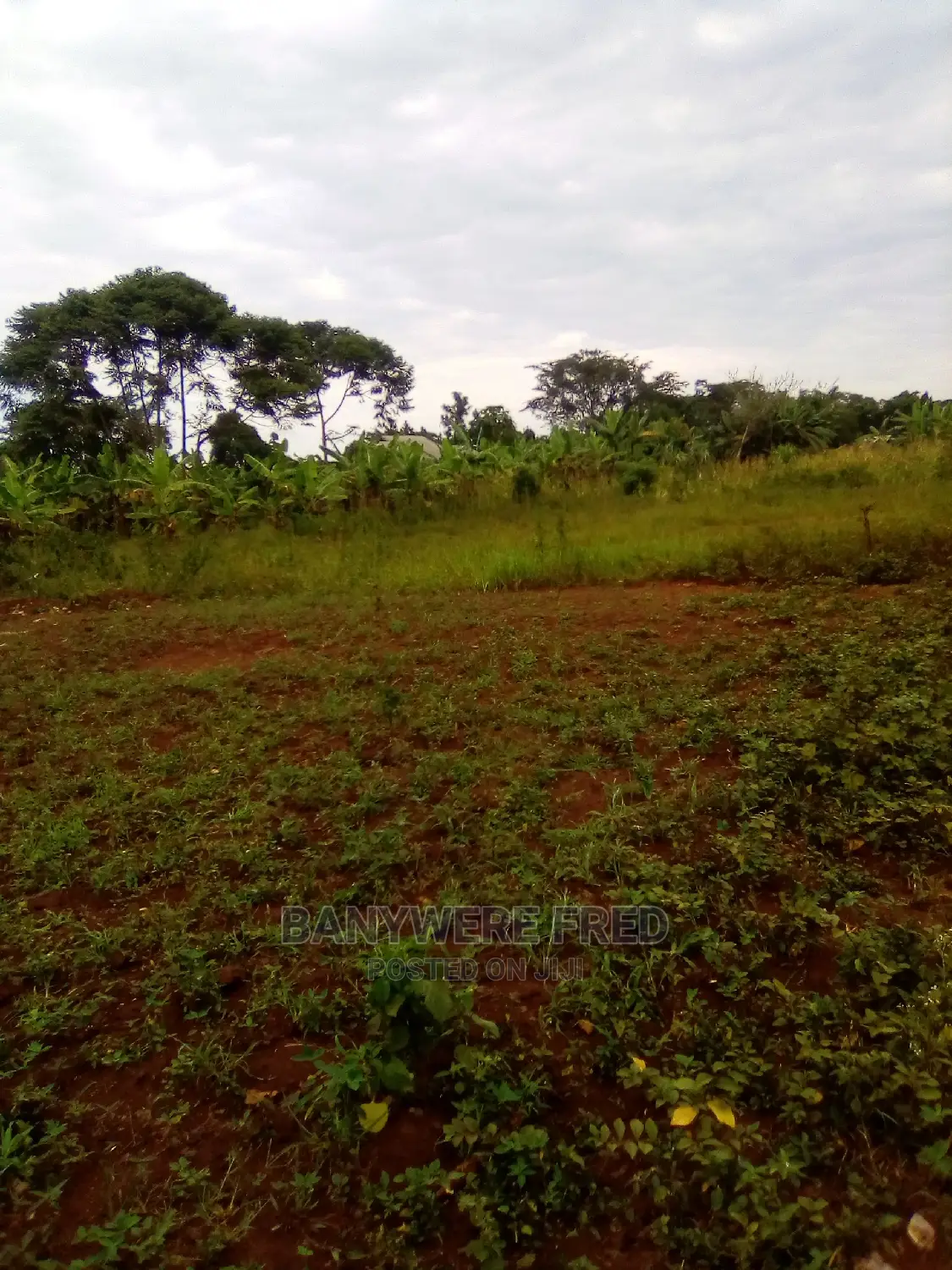 100x50ft Plot on Wabusana Road for Sale in Kayunga TC