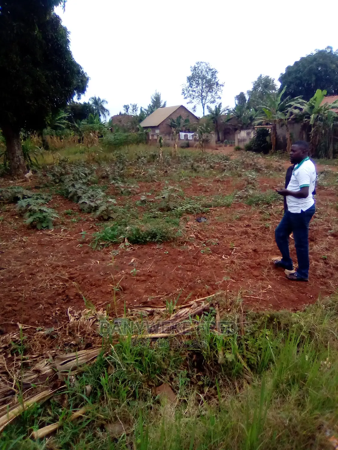 50x100ft Plot on Sale at Kayanjja Mukono in Kayunga TC