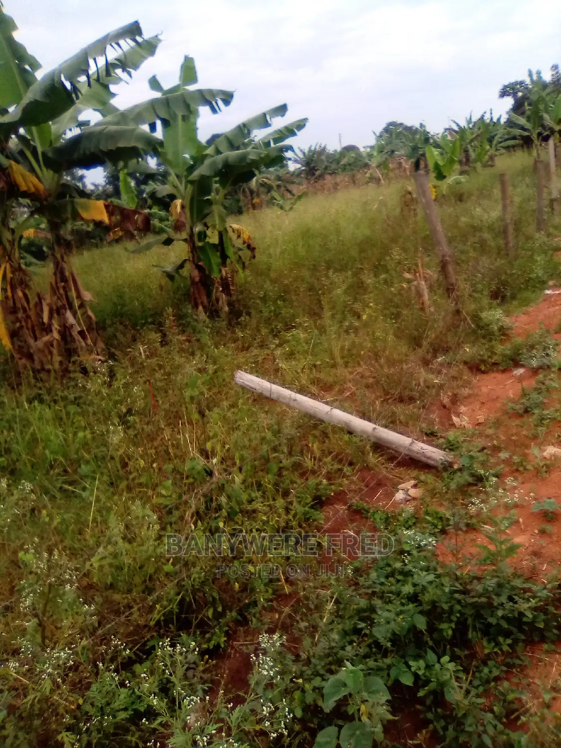 Farm Land 7acres at Nakaseke Town in Zirobwe