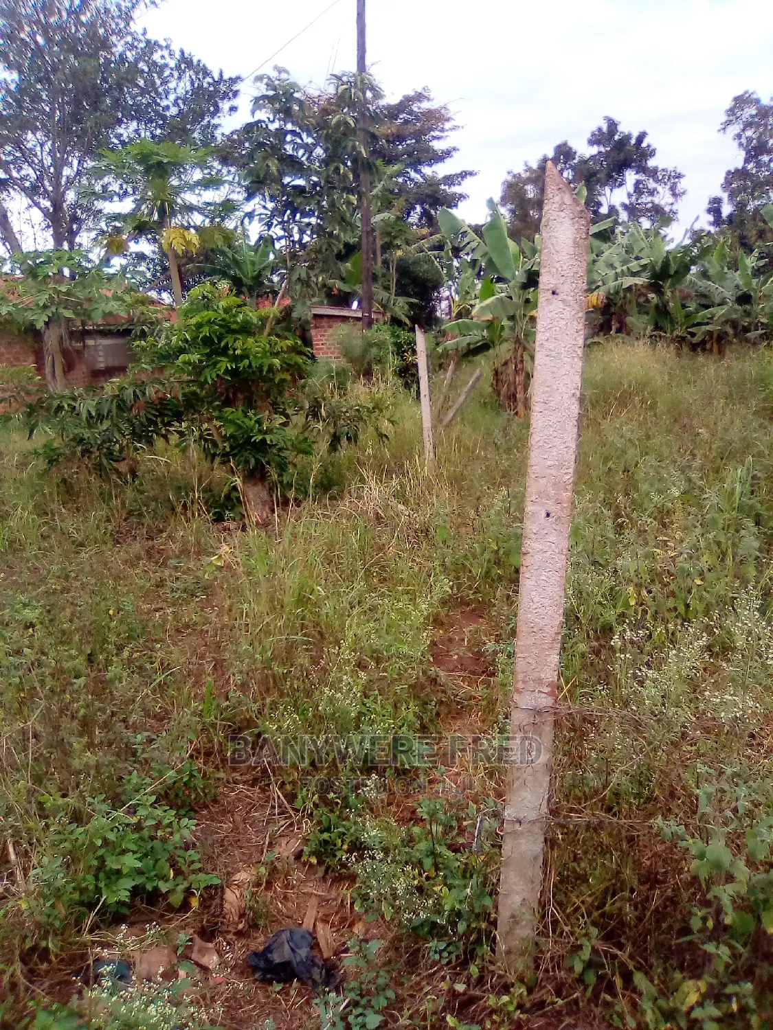 Farm Land 7acres at Nakaseke Town in Zirobwe