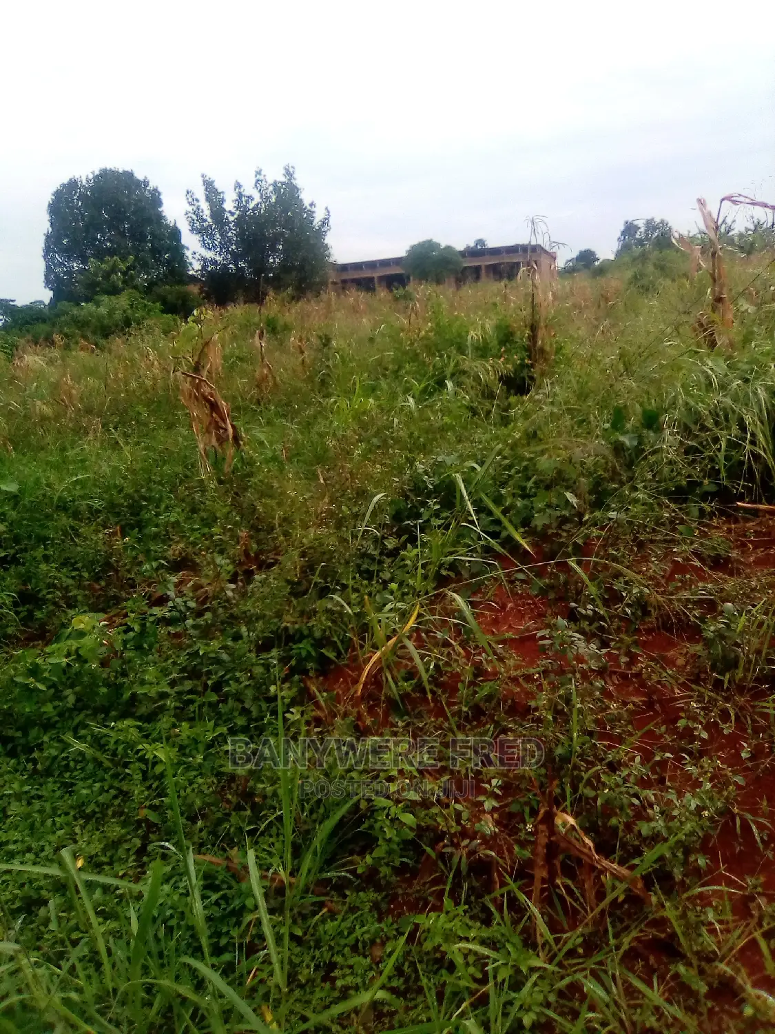 50/100 Plot for Sale in Nakagere in Goma