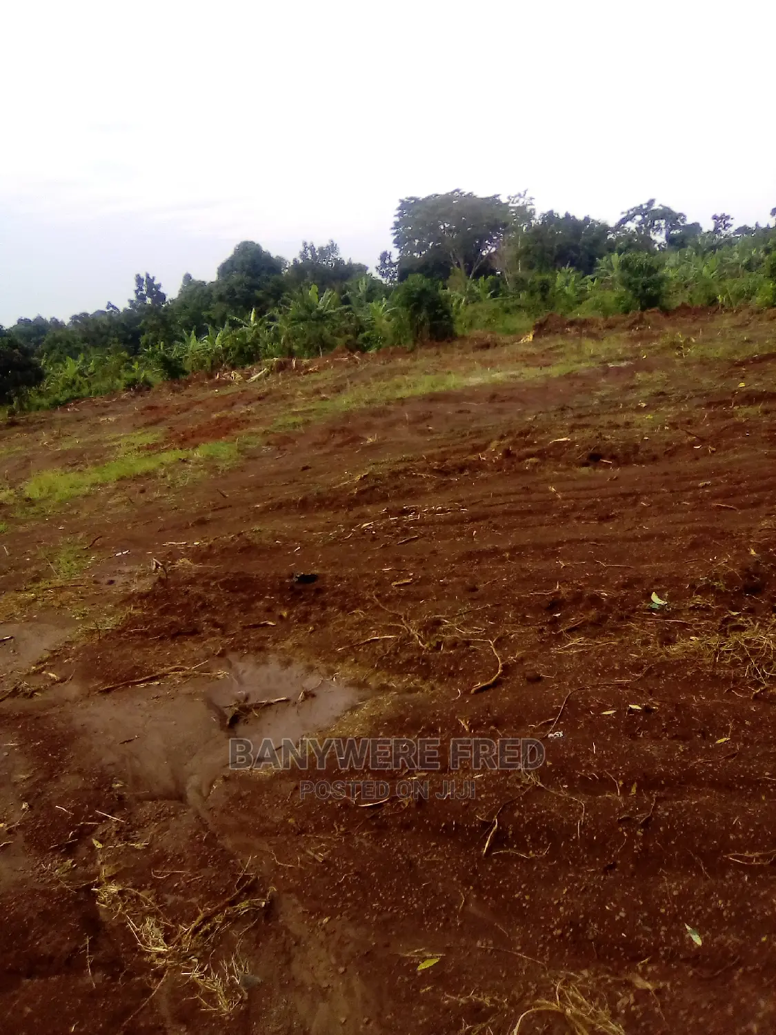 50/100 Plot for Sale in Kagala Tranding Centre in Goma