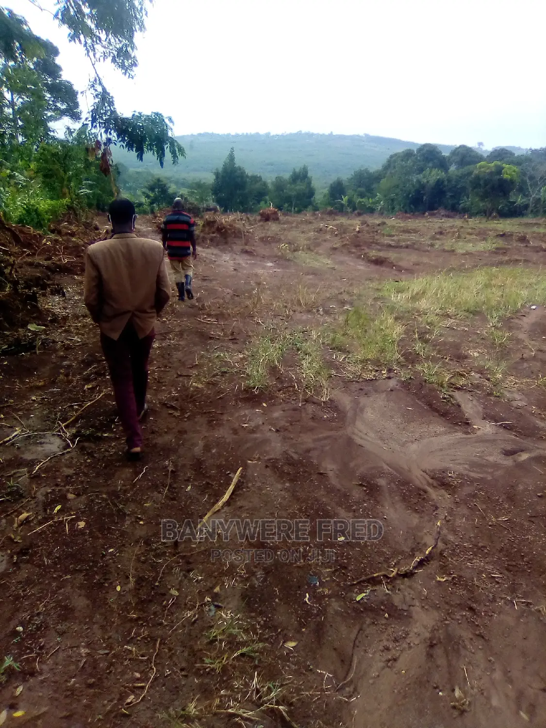 50/100 Plot for Sale in Kasayi in Kyampisi