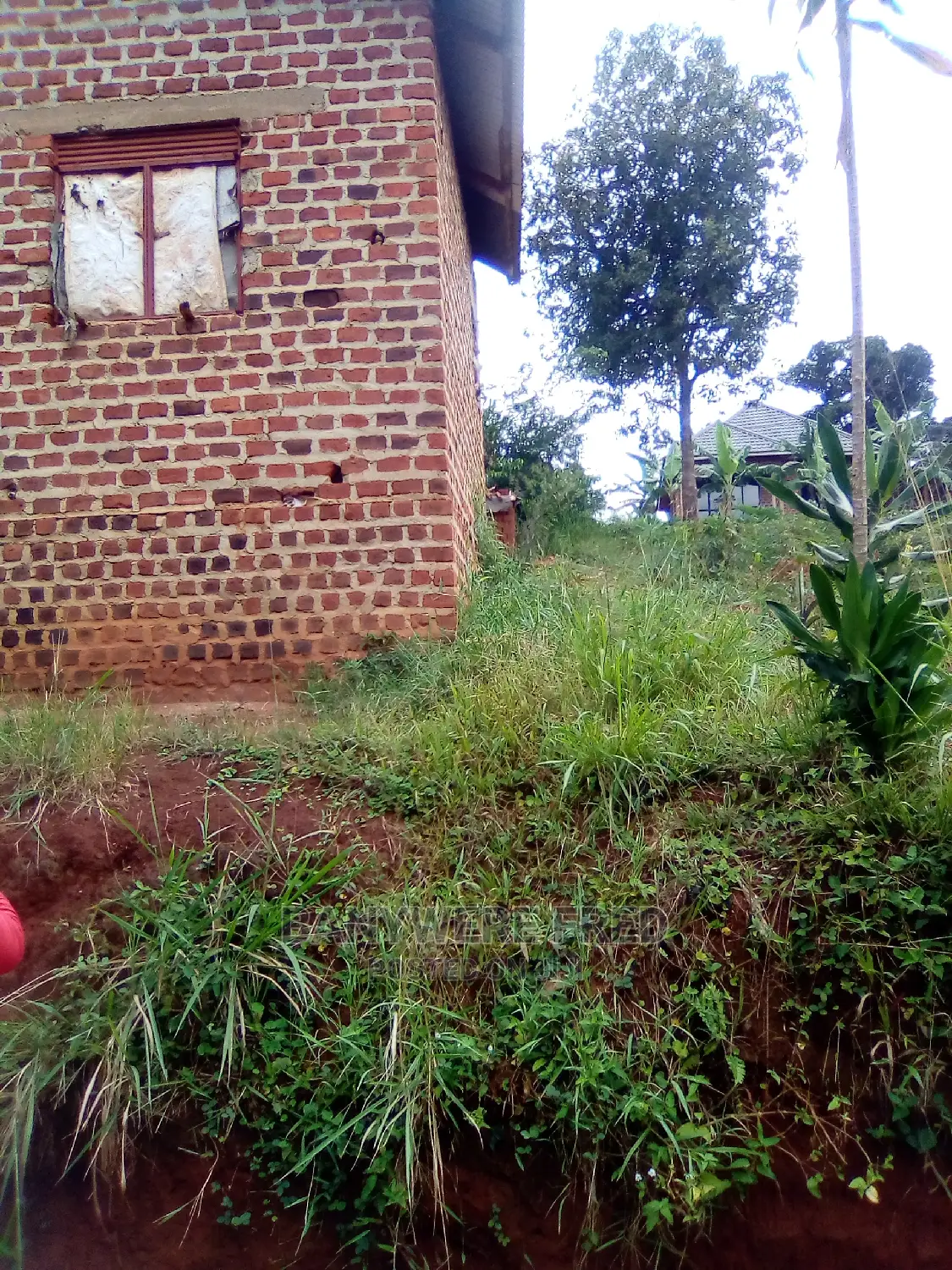 50/100 Plot for Sale in Sonde Mukyikulu in Goma
