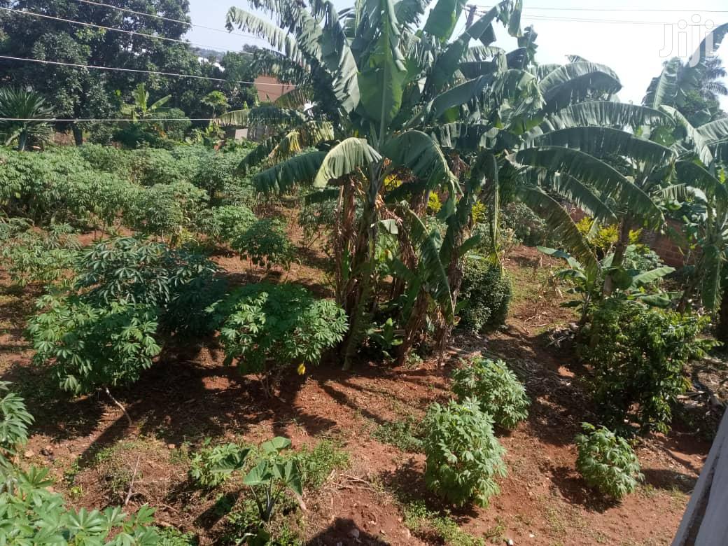 Another Hot Plot After Munyonyo on Ntebe Express in Division A