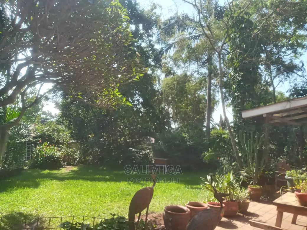 5bdrm Duplex in Kololo Property, Central Division for Rent in Central Division