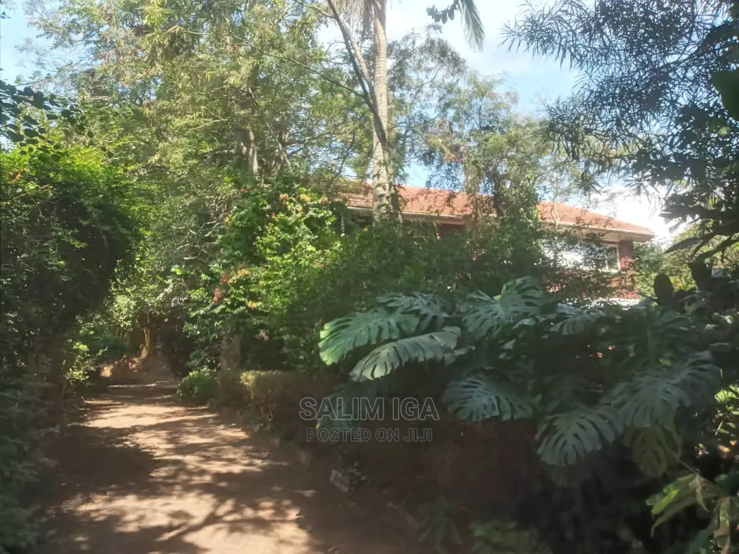 5bdrm Duplex in Kololo Property, Central Division for Rent in Central Division