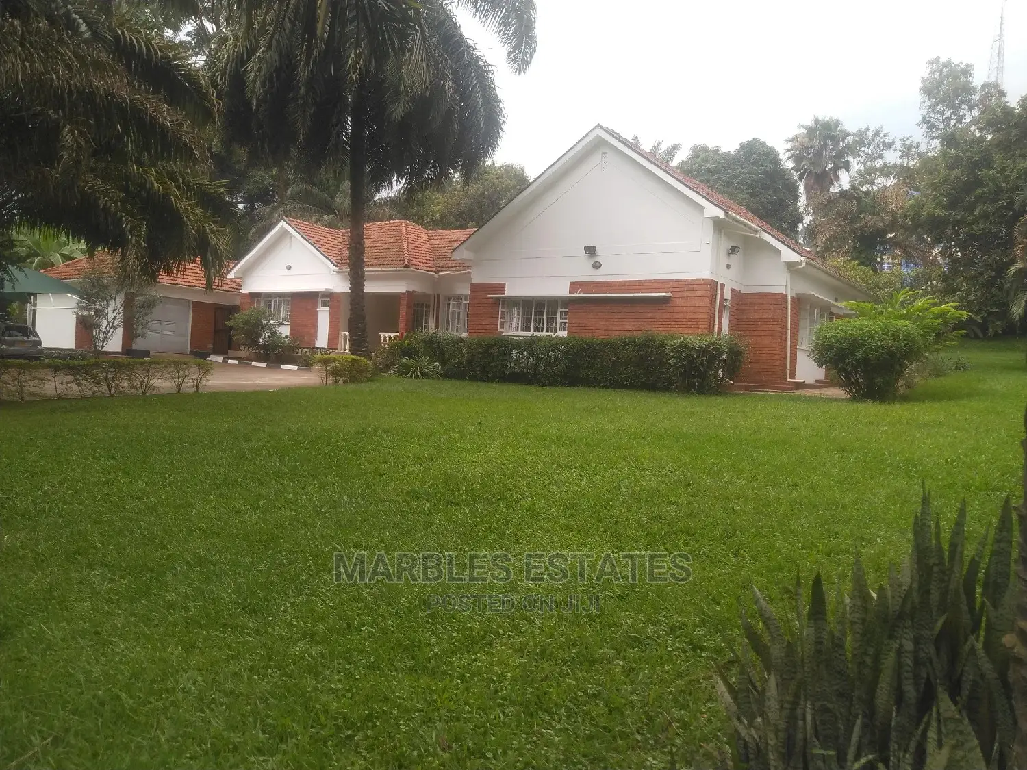 4bdrm Bungalow in Kololo, Central Division for Rent in Central Division