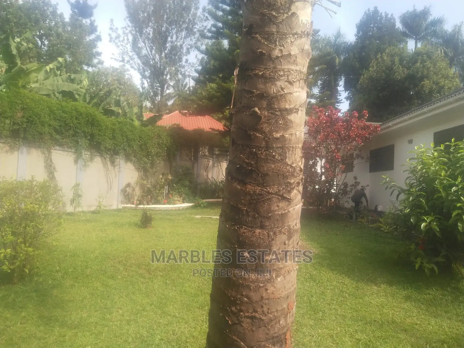 4bdrm Bungalow in Mbuya, Central Division for Rent in Central Division