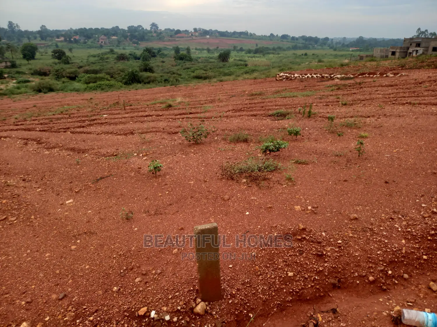 Kasangati 25 Decimals I Tarmack Neighborhood in Nangabo
