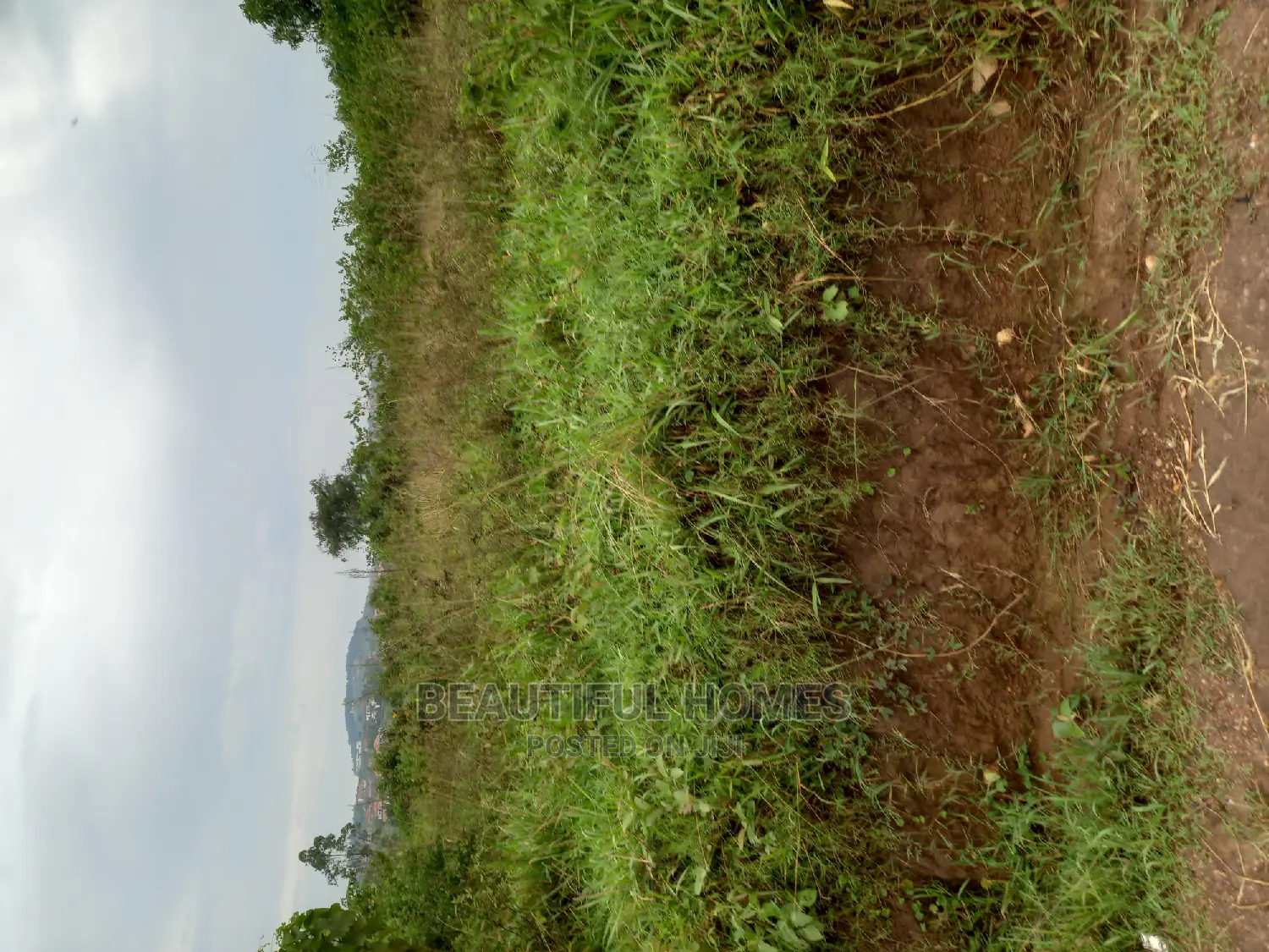 Kasangati 25 Decimals for Sale in Kira