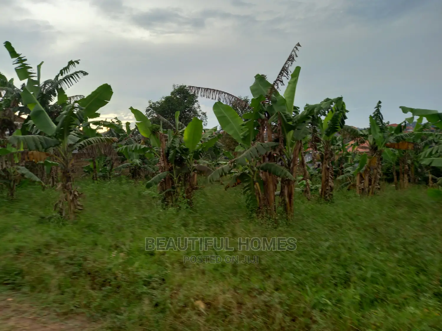 25 Decimals at Kasangati on Sell in Kira