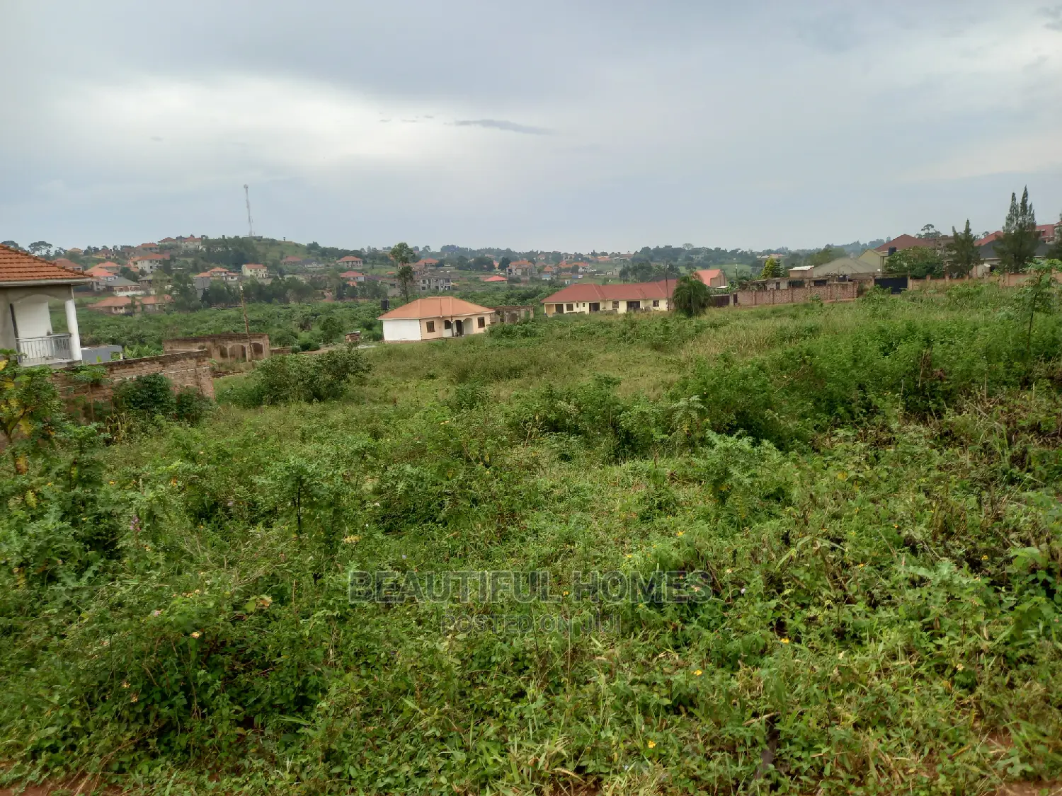 Kasangati 25 Decimal Hot Plot on Sell in Kira
