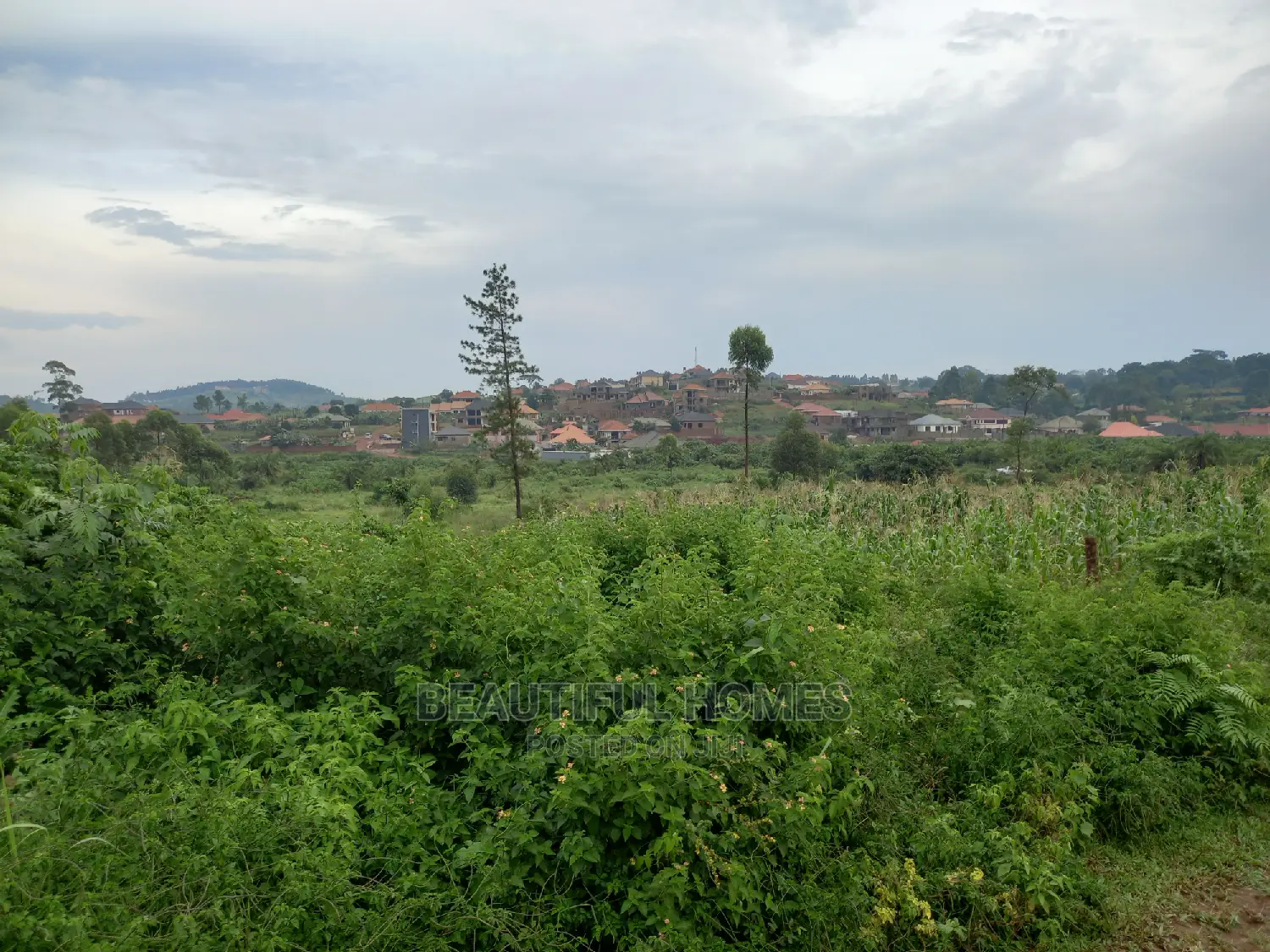 100*100 Prime Plot in Kasangati on Sell in Kira