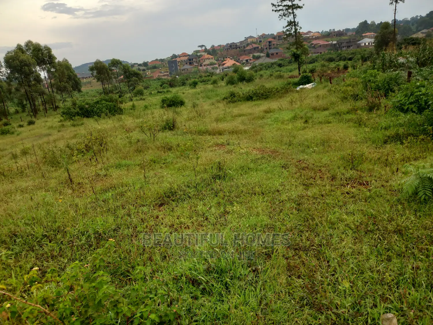 25 Decimals in Kasangati Posh Estate on Sale in Kira