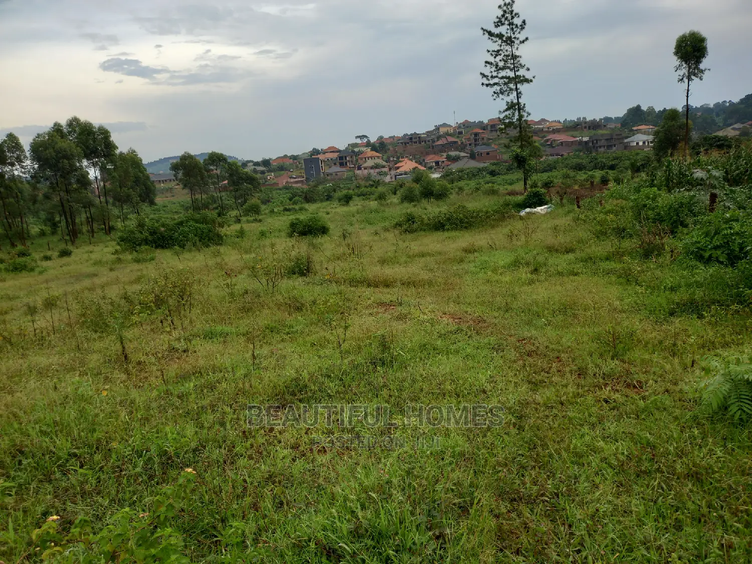 Kasangati 25 Decimals in Gated Community on Sell in Kira